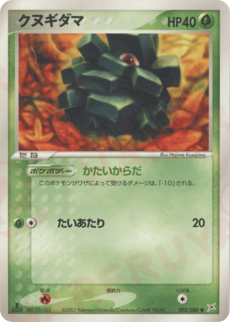クヌギダマ