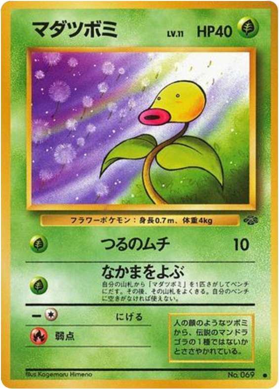 マダツボミ