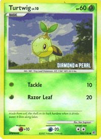 Turtwig