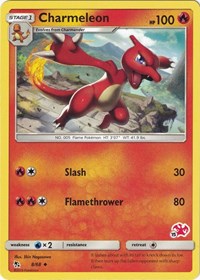 Charmeleon - Charizard 15