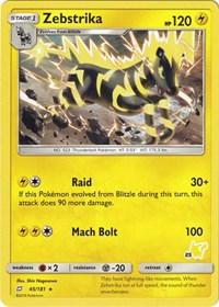 Zebstrika - Pikachu 23