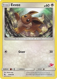 Eevee - Charizard 26