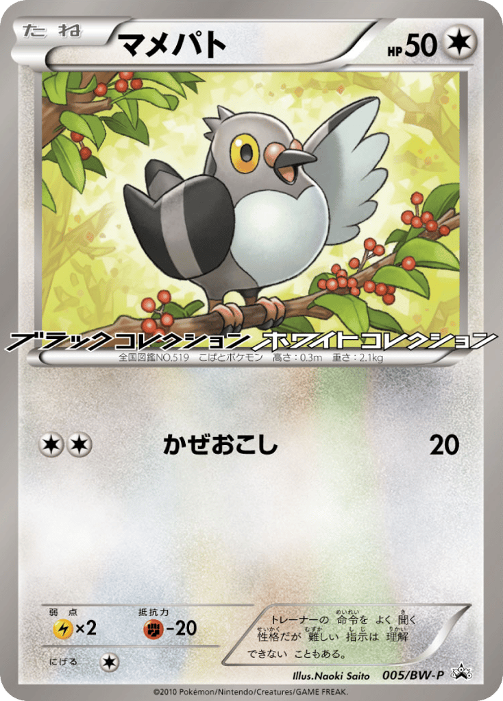 マメパト
