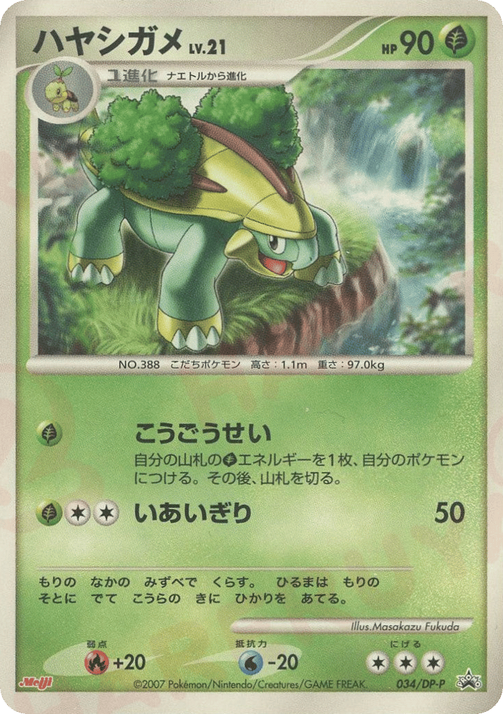 ハヤシガメ