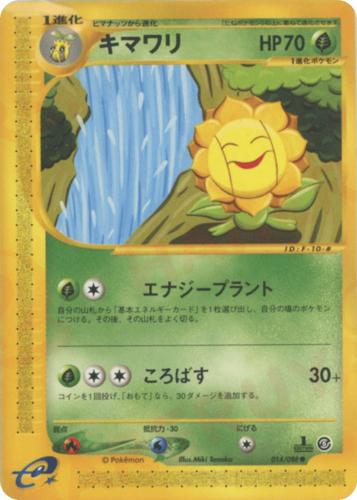 キマワリ