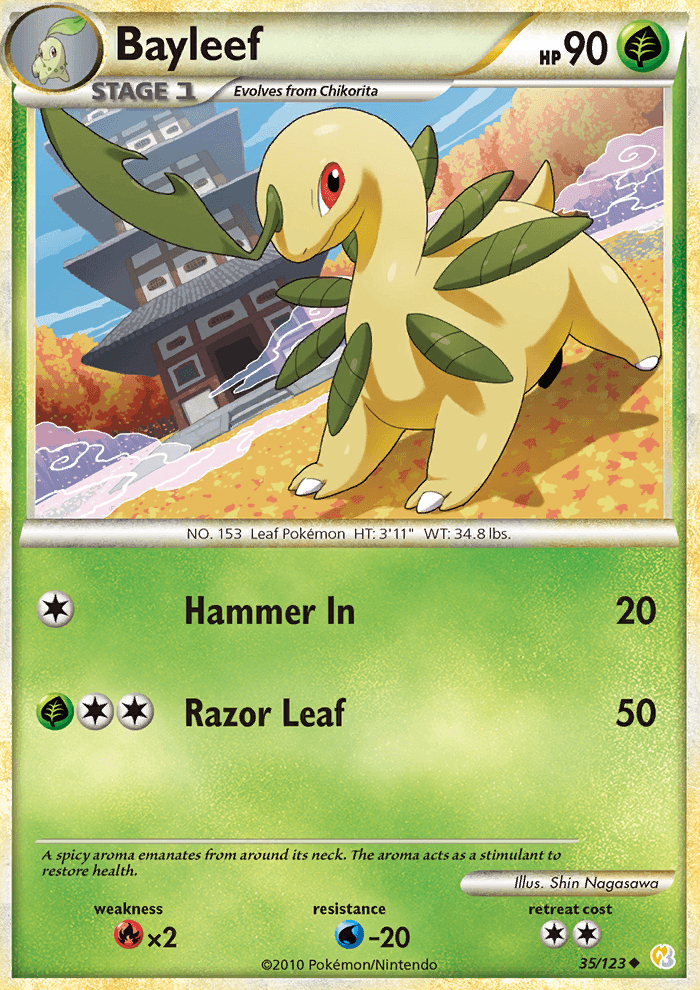 Bayleef