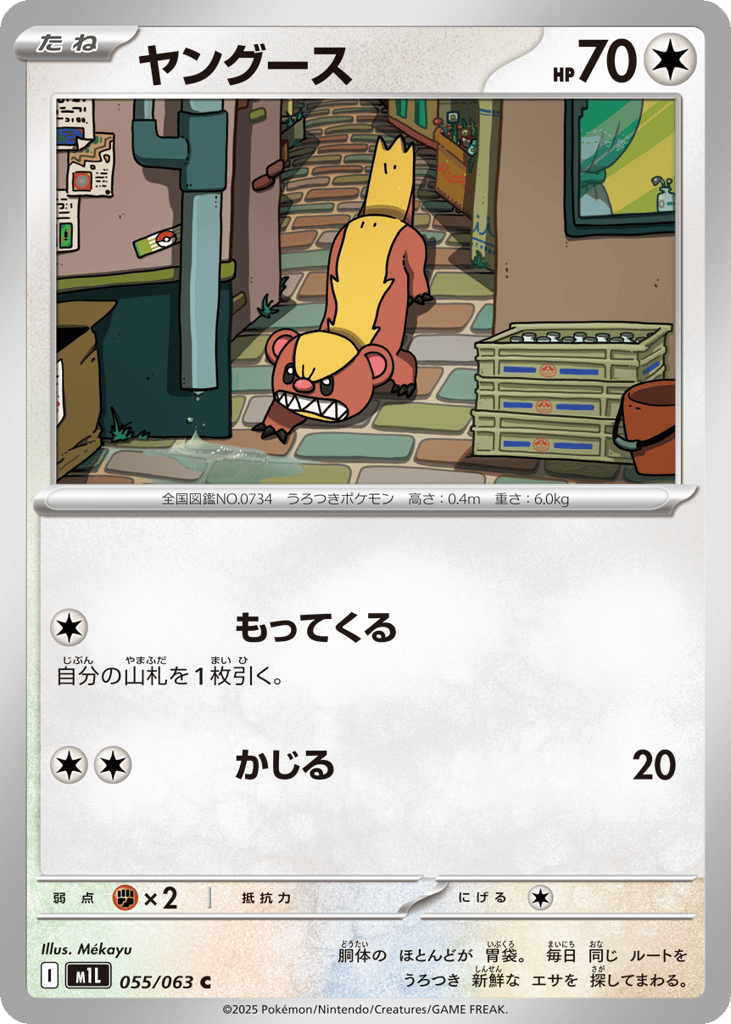 ヤングース