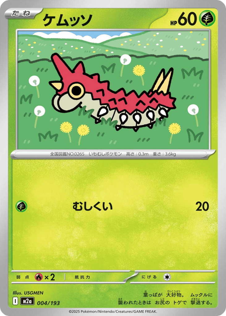 ケムッソ