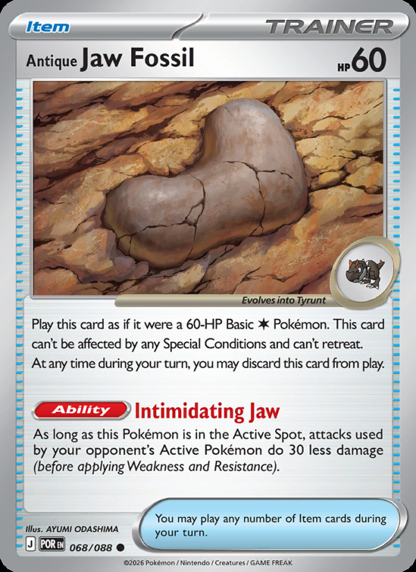 Antique Jaw Fossil