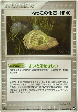 ねっこの化石