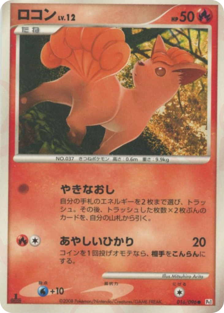 ロコン