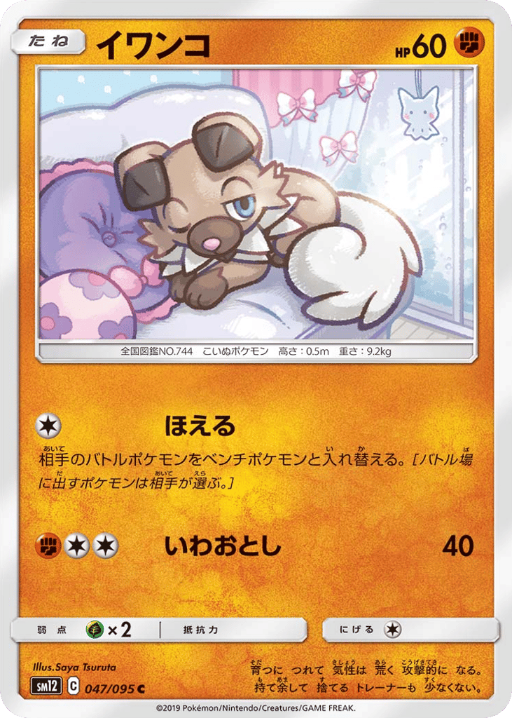 イワンコ