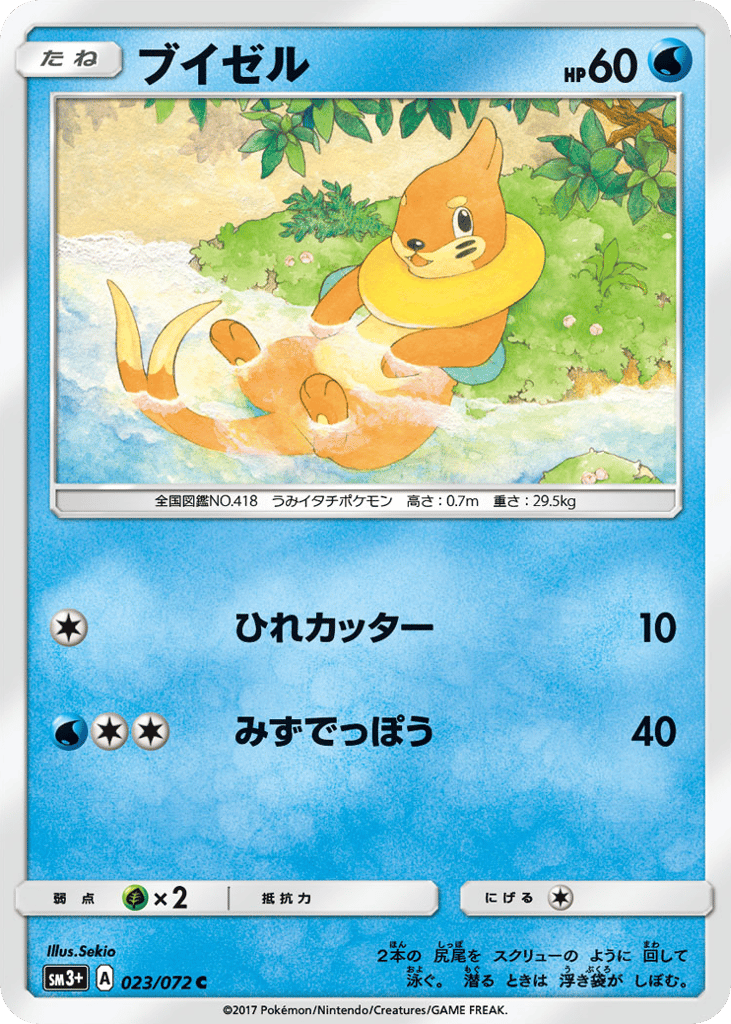 Buizel