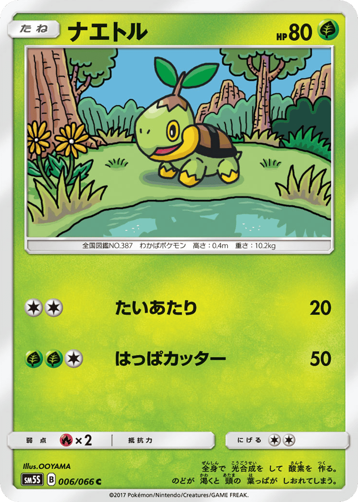 ナエトル