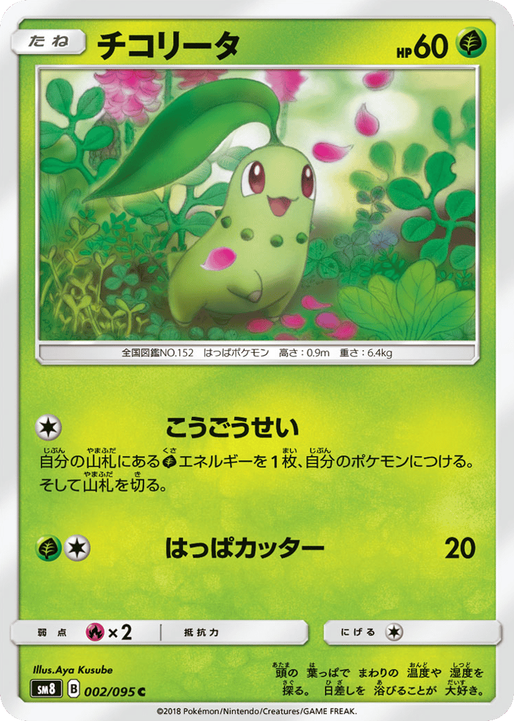チコリータ