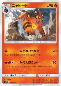 Torracat