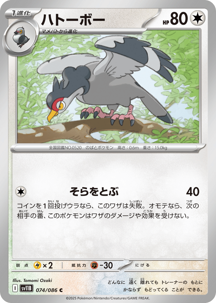ハトーボー