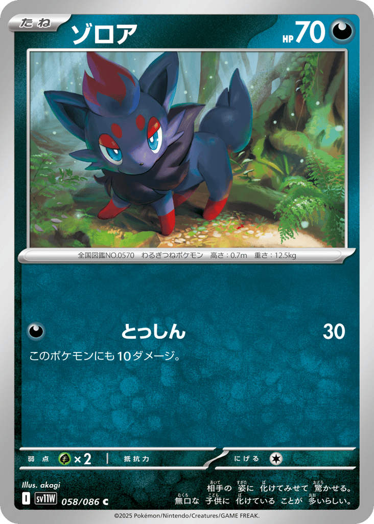 ゾロア