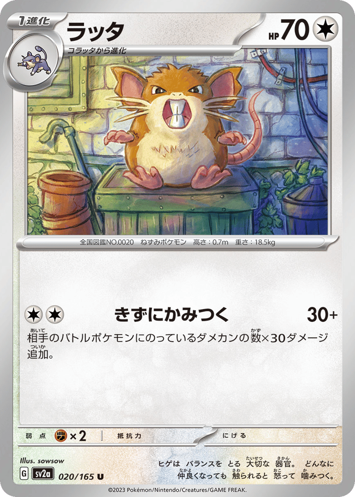 ラッタ