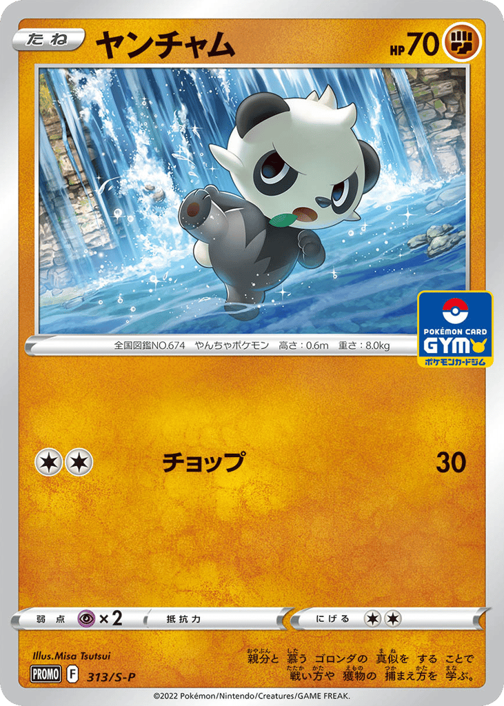 Pancham - 313/S-P