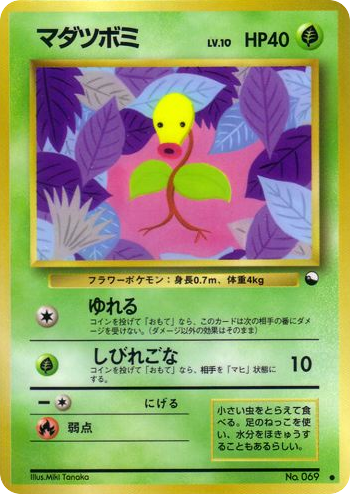 マダツボミ