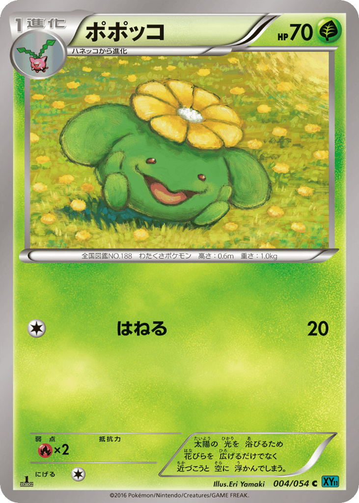 Skiploom