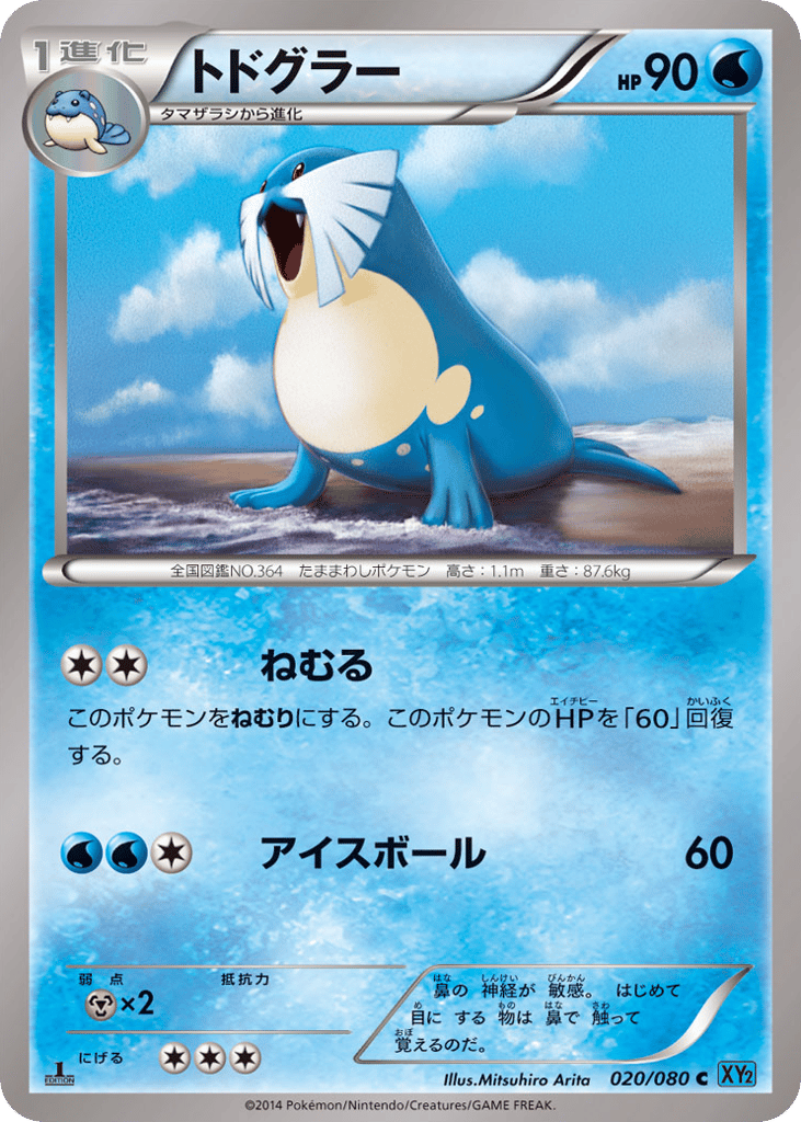 トドグラー