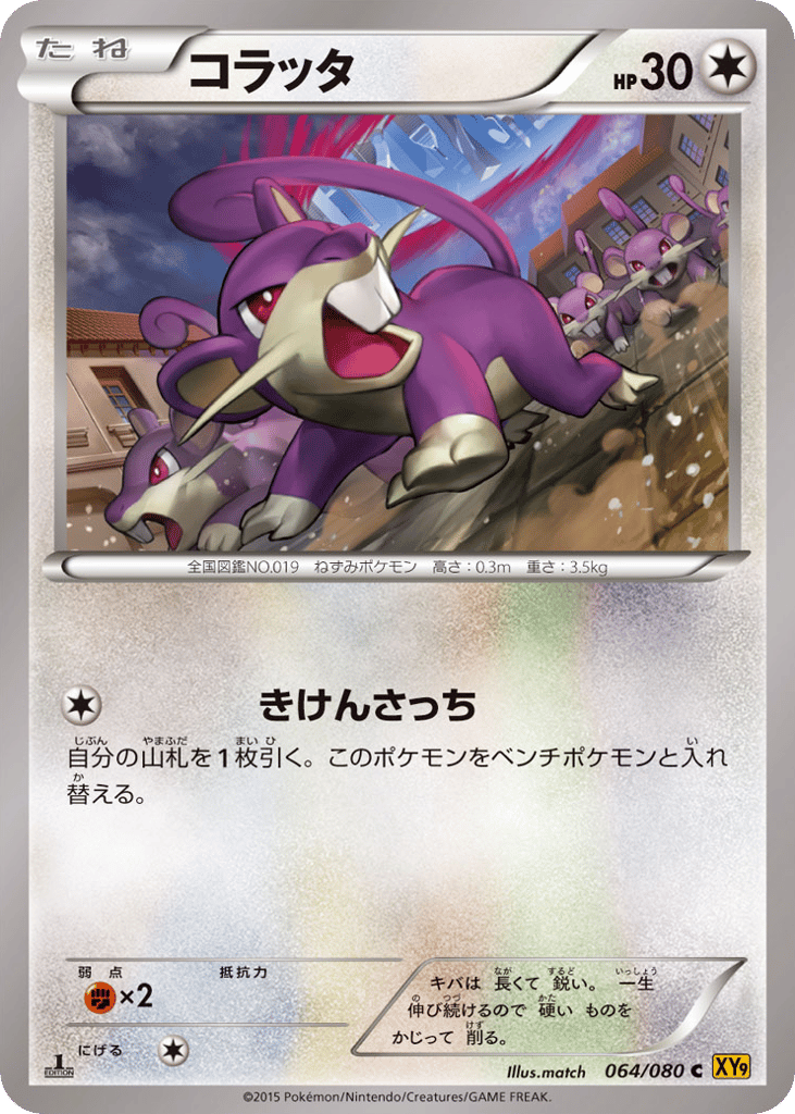 コラッタ