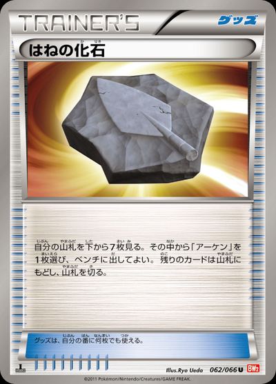 はねの化石