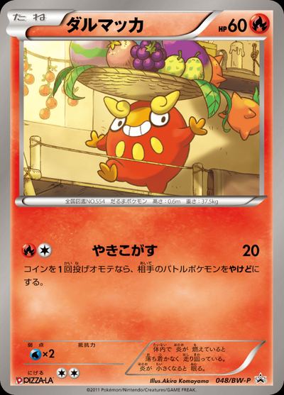 ダルマッカ