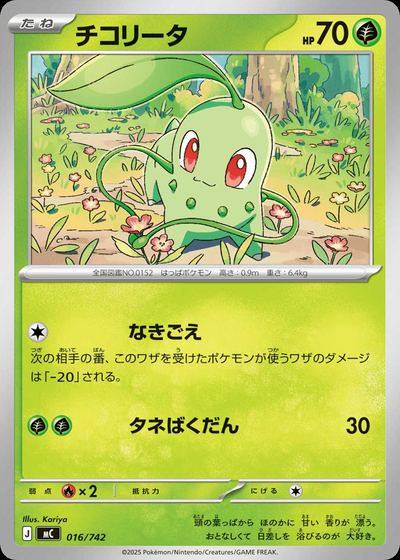 チコリータ