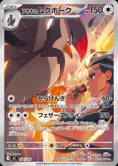 アオキのムクホーク