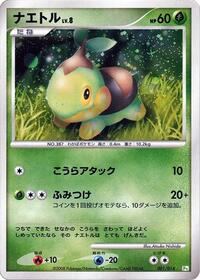 Turtwig