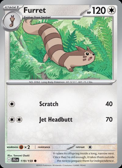 Furret